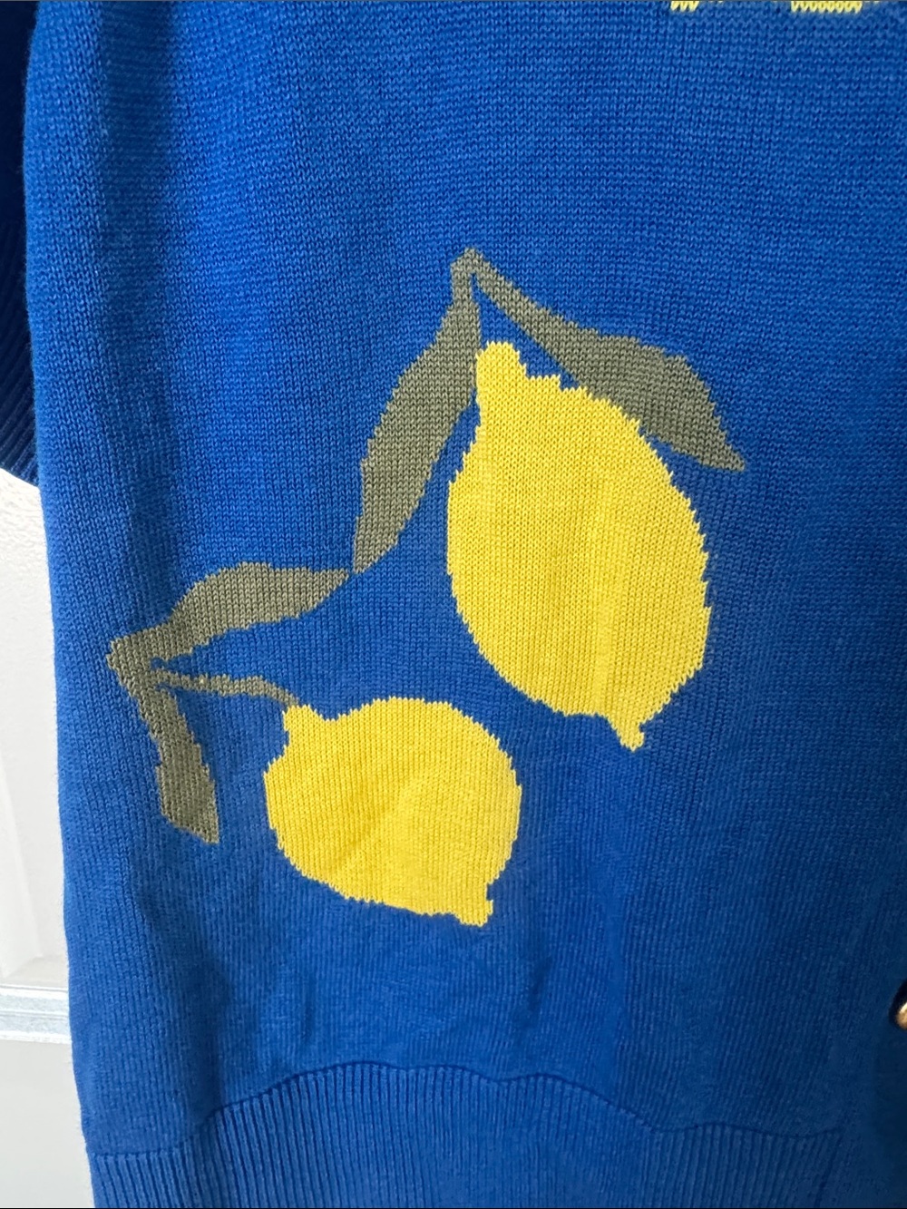 Blue Lemon-Print Short-Sleeve Cardigan - Picture 4 of 9